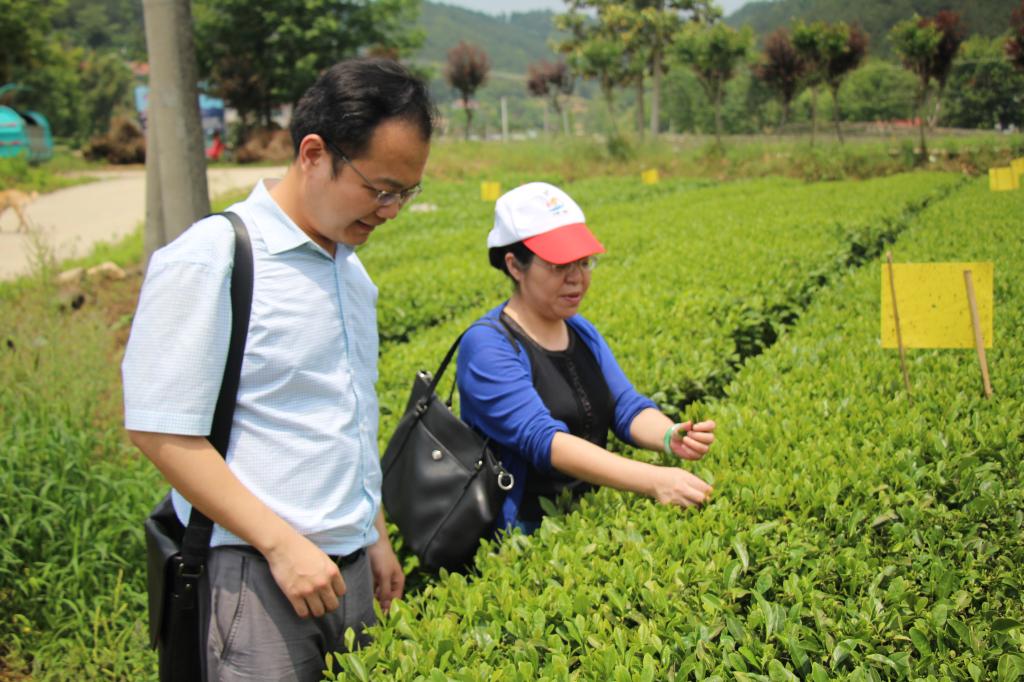 教师进农户，理论下基层——365英国上市公司官网全体党员教师赴英山县乌云山村学习调研